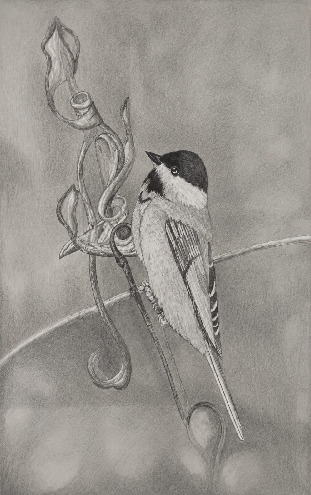 Pajaros, obra de Sergio Fernandez